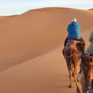 HOME 39 15 day Morocco tour