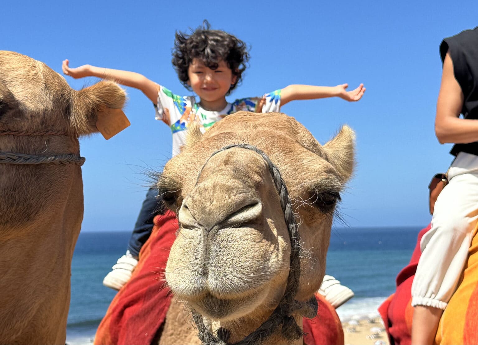 Camel ride near Cap Spartel on a Tangier day trip from Tarifa